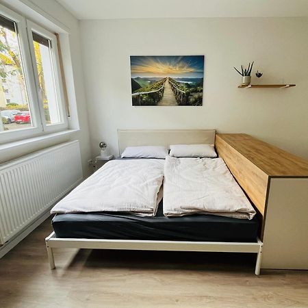 Black Forest City Apartment Mit Kostenlosem Parkplatz Freiburg im Breisgau Eksteriør billede