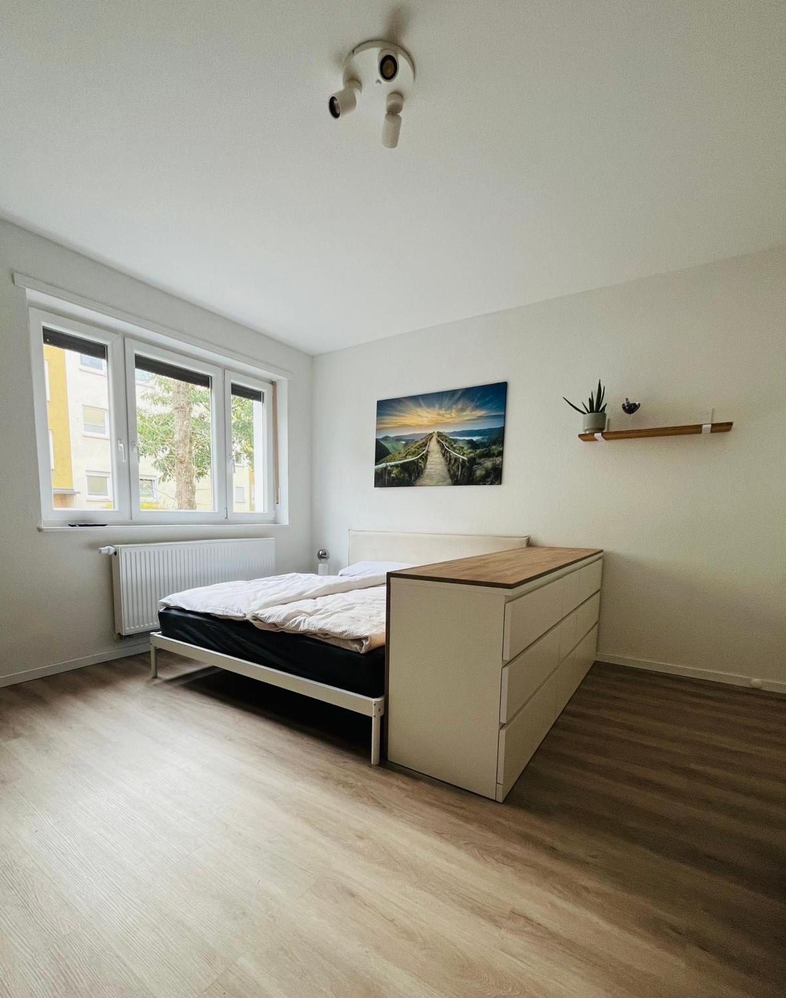 Black Forest City Apartment Mit Kostenlosem Parkplatz Freiburg im Breisgau Eksteriør billede