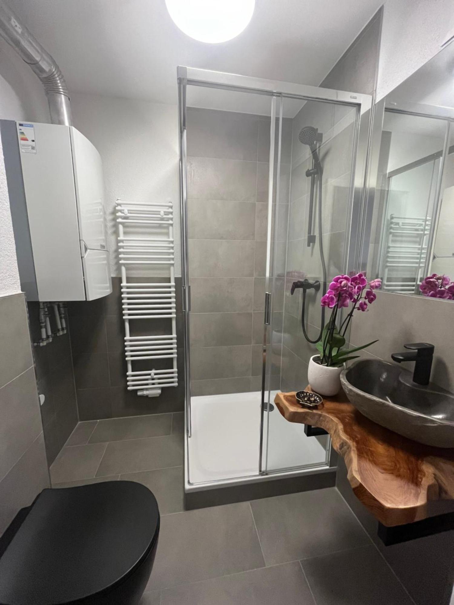 Black Forest City Apartment Mit Kostenlosem Parkplatz Freiburg im Breisgau Eksteriør billede